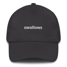 Load image into Gallery viewer, Swallows Dad Hat
