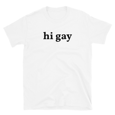 Hi Gay Tee - The Gay Bar Shop